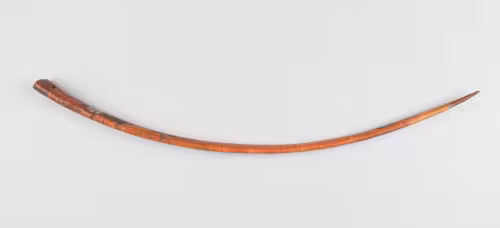An Akalaka Thatching Needle