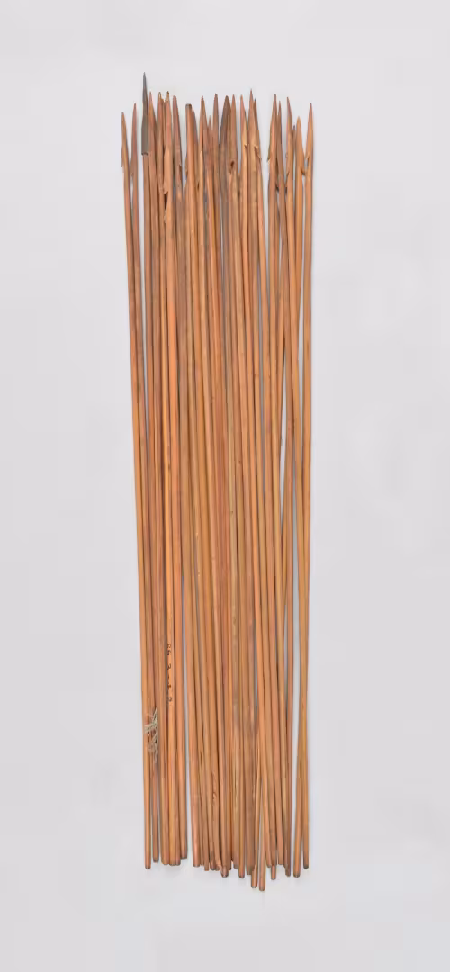 An Akalaka Hunting Arrow